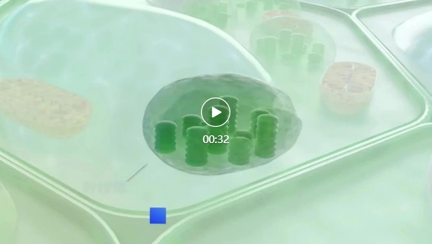 重大成果!中国科学家又有新突破!(图2) 034.png