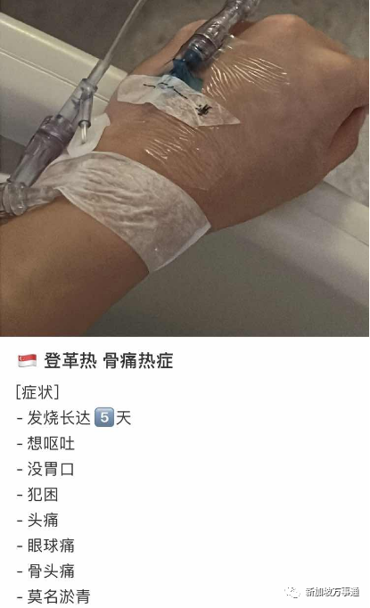 新冠 流感 骨痛热!3大病毒“围攻”新加坡,诊所大排长龙,已有学校停课!(图9) 33.png