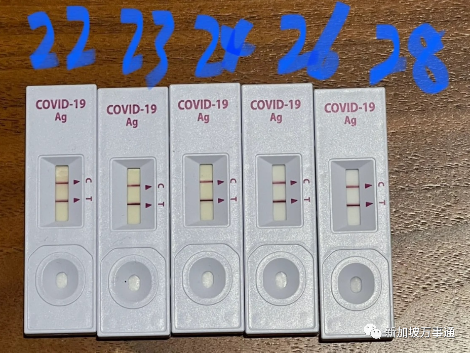 新冠 流感 骨痛热!3大病毒“围攻”新加坡,诊所大排长龙,已有学校停课!(图20) 44.png