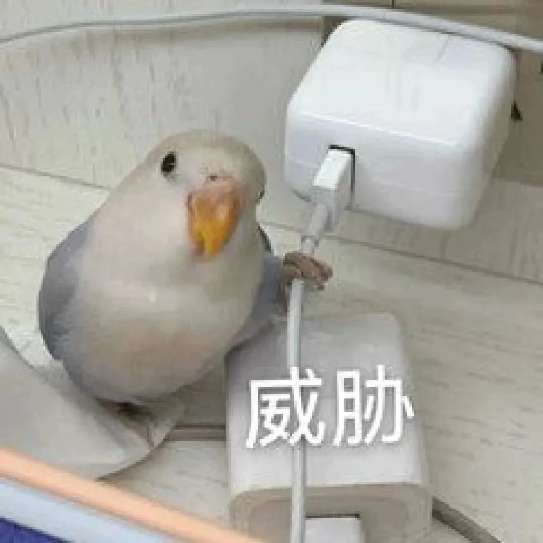 警察真上门抓我了?!(图2) 2.jpg