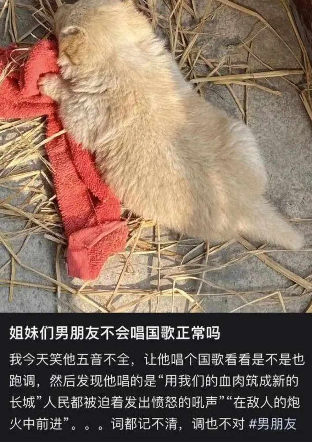 福建女子发现男友不会唱国歌,怀疑其是间谍,当即将男友举报至相关部门…(图10) 22.png