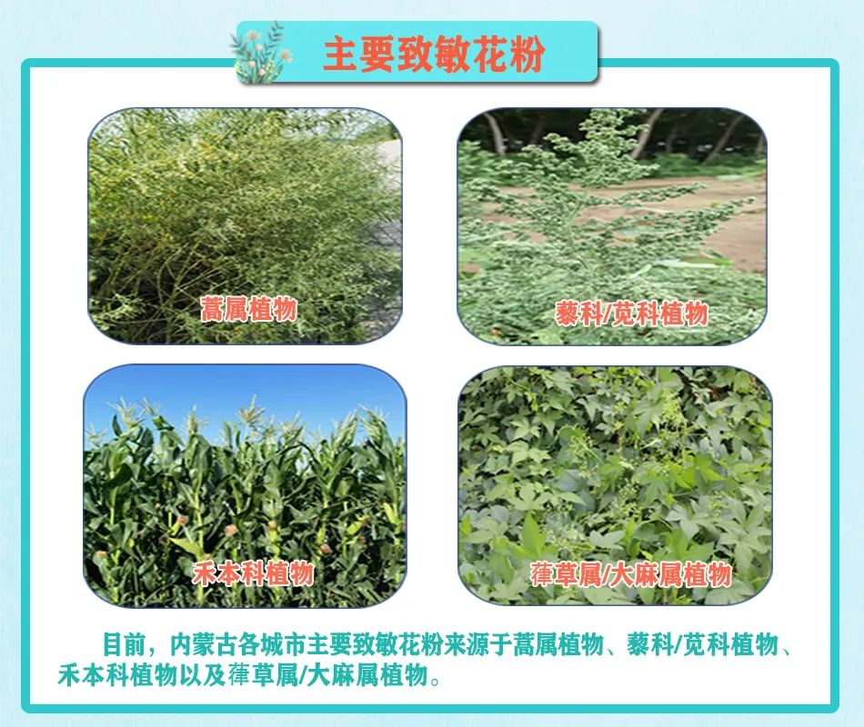 一地突现“雷暴哮喘”,大量患者排队就医!卫健部门最新回应(图5) 25.jpg