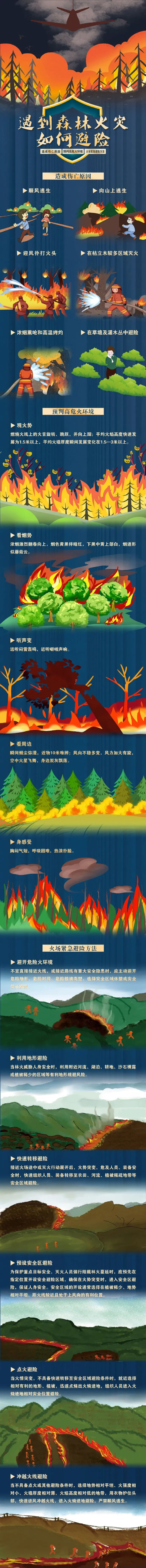 一天内6起通报!8场山火处理10人(图11) 640.png