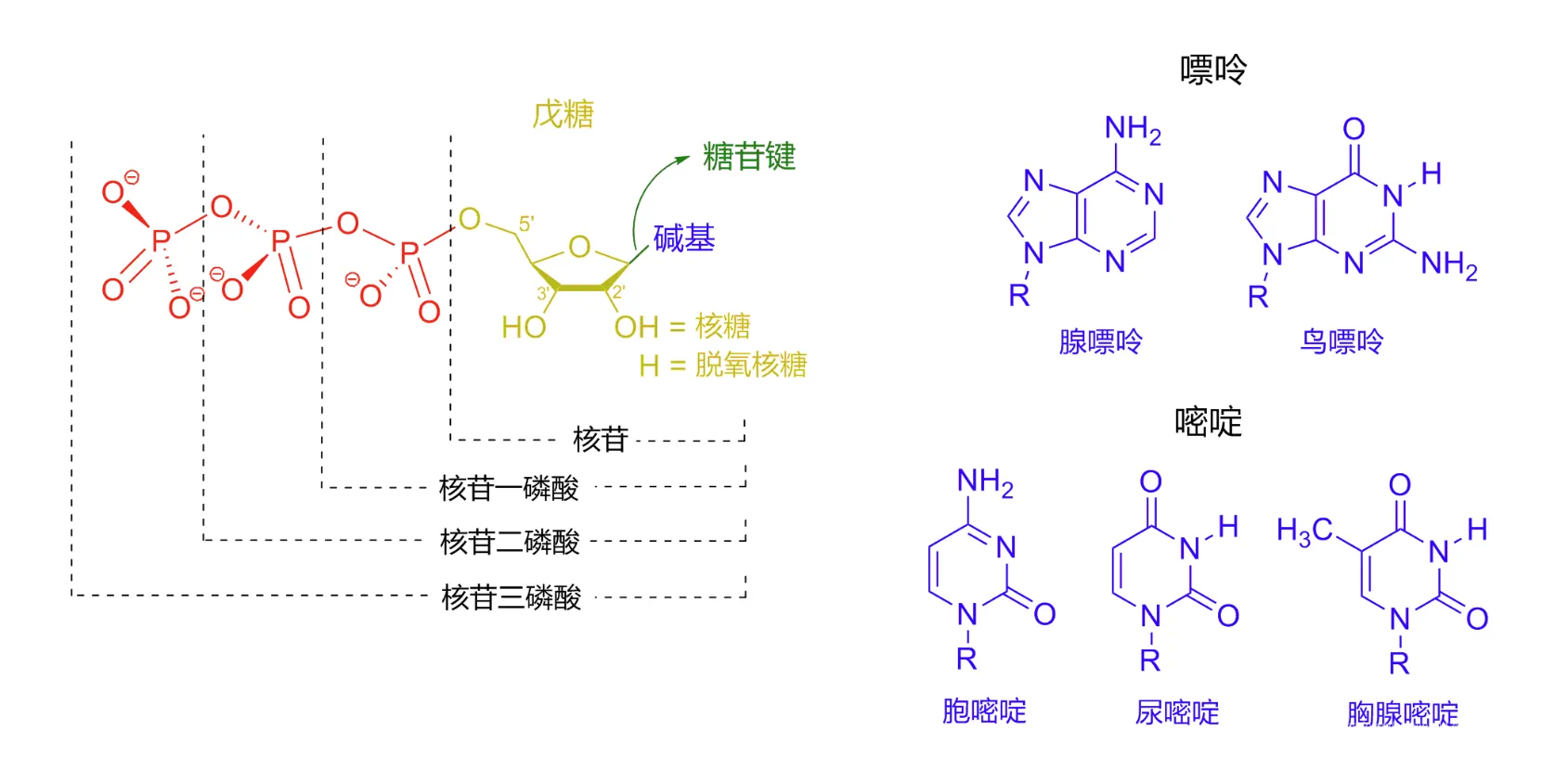 金日光教授:【《黄帝内经》为何是中医大学科最上等的医典?•五十三】今年生物诺奖研究的是mirna,可以用来说明双胞胎的种种差别?(图4) 61.png