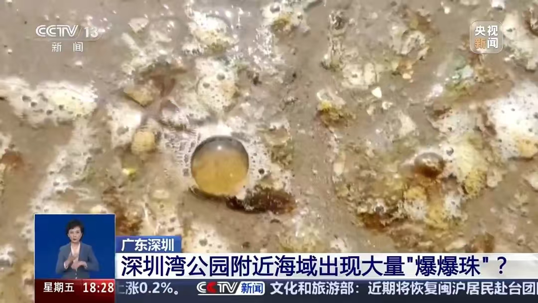 微信图片_20250118221719.jpg