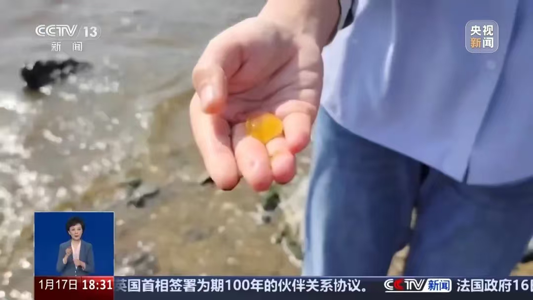 微信图片_20250118221728.jpg