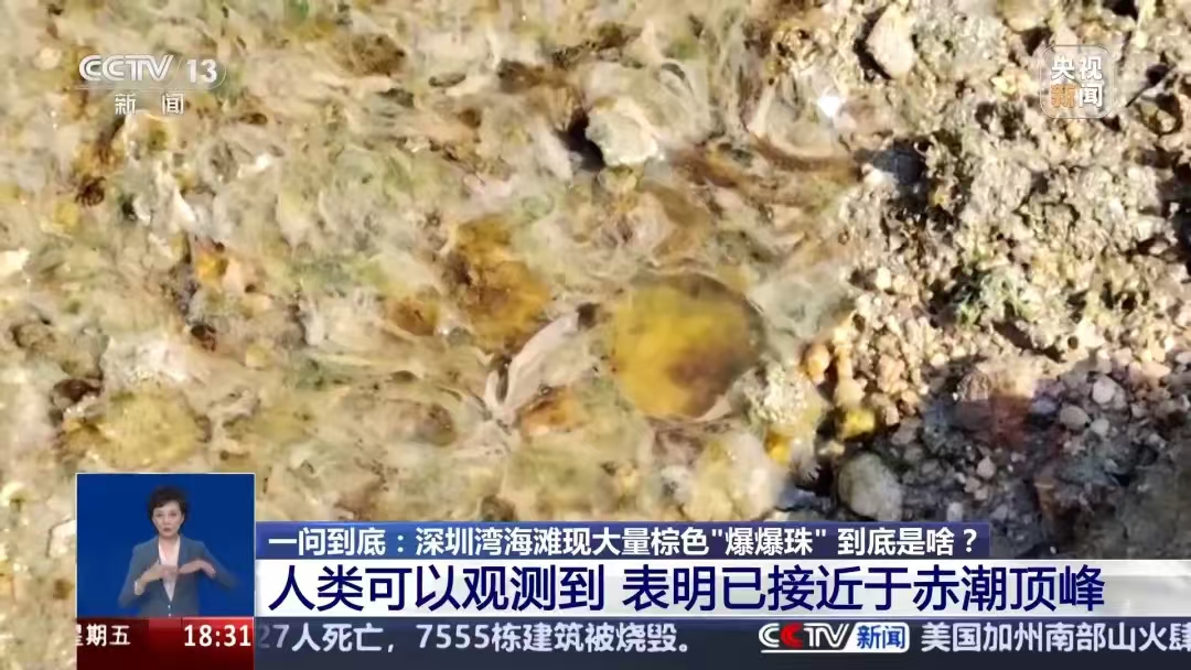 微信图片_202501182217281.jpg