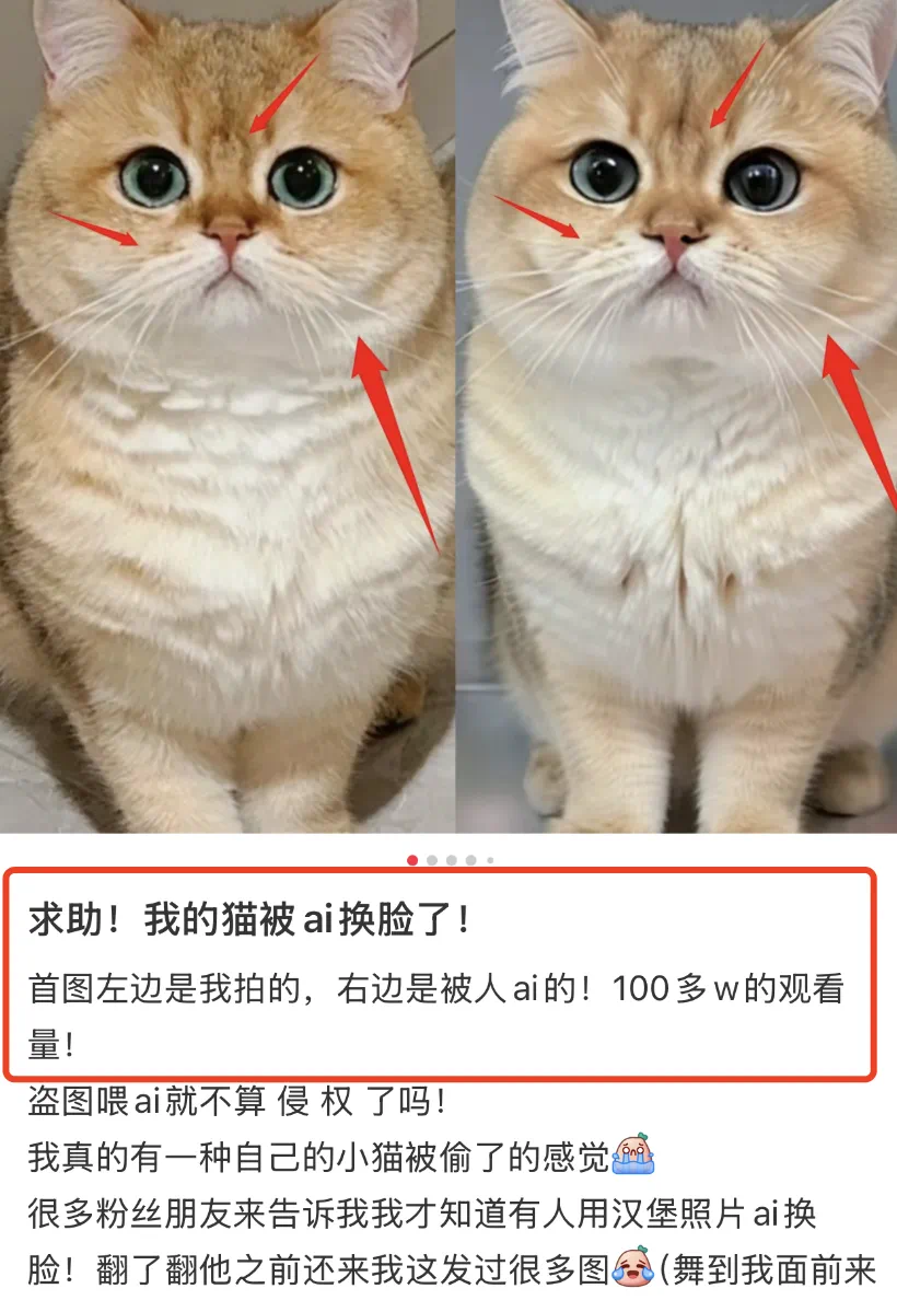 1岁会讲话、2岁抱着鱼喊奶奶?ai正在批量制造“假视频”(图10) 微信图片_20250307213916.png